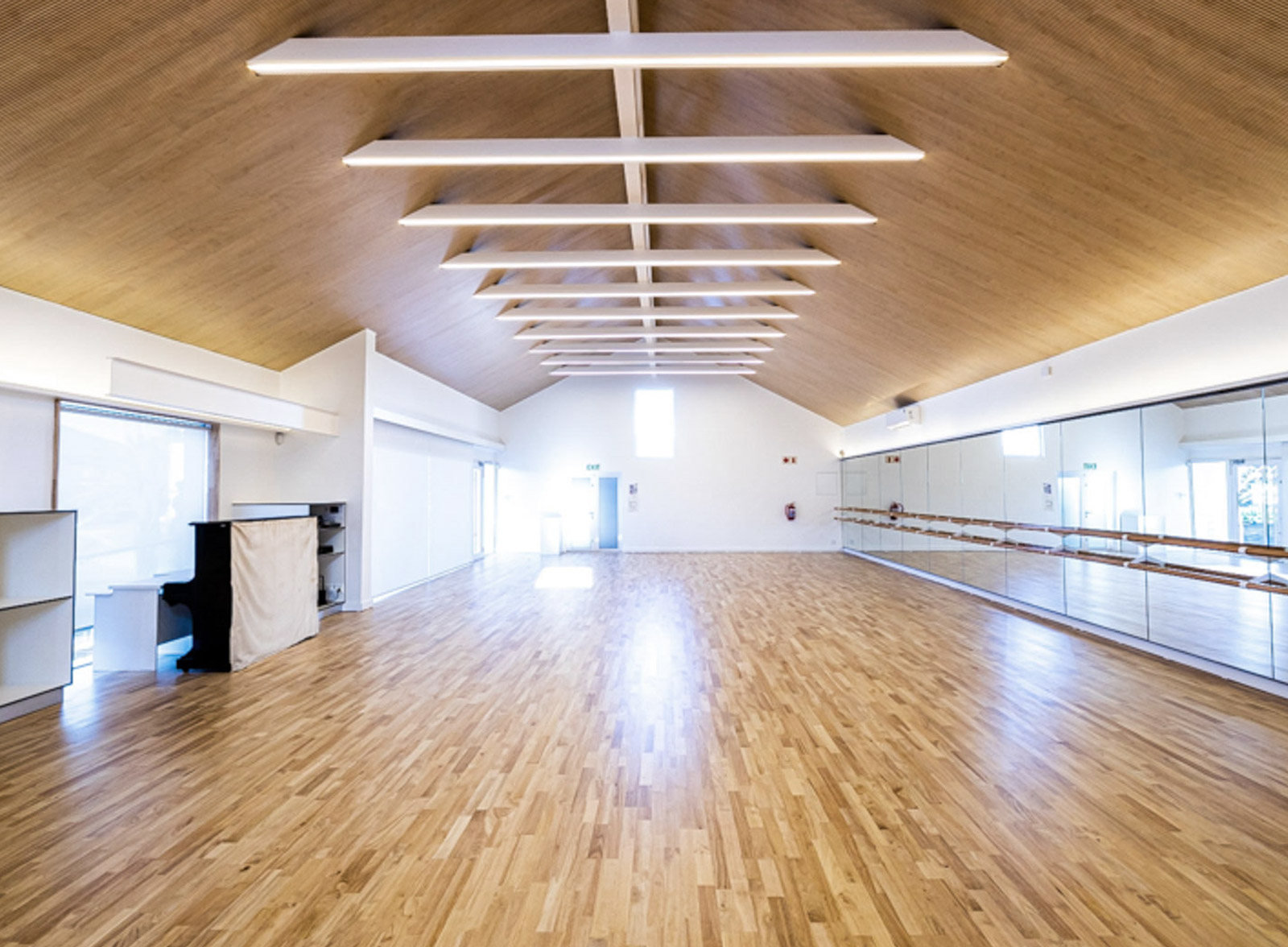 Ideatec proyect imibalaballet